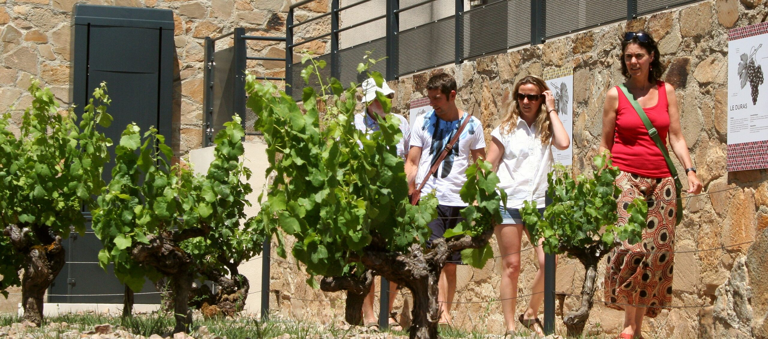 Journée adhérents Gîtes de France® Tarn automnale à Labastide