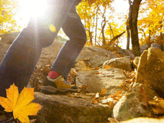 rando automne