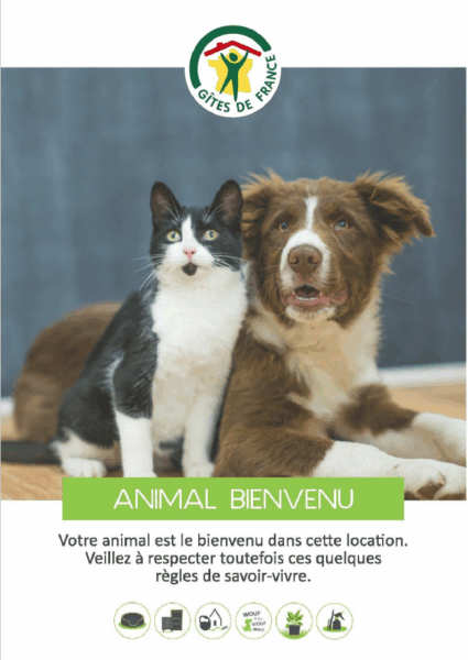 Affiche animaux