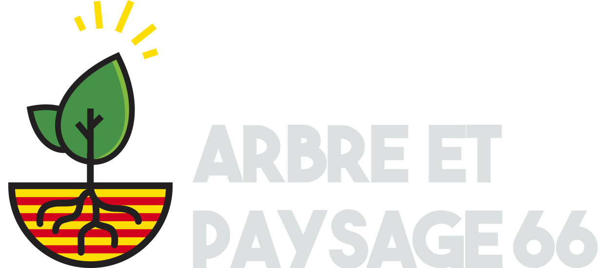 Arbre et Paysage