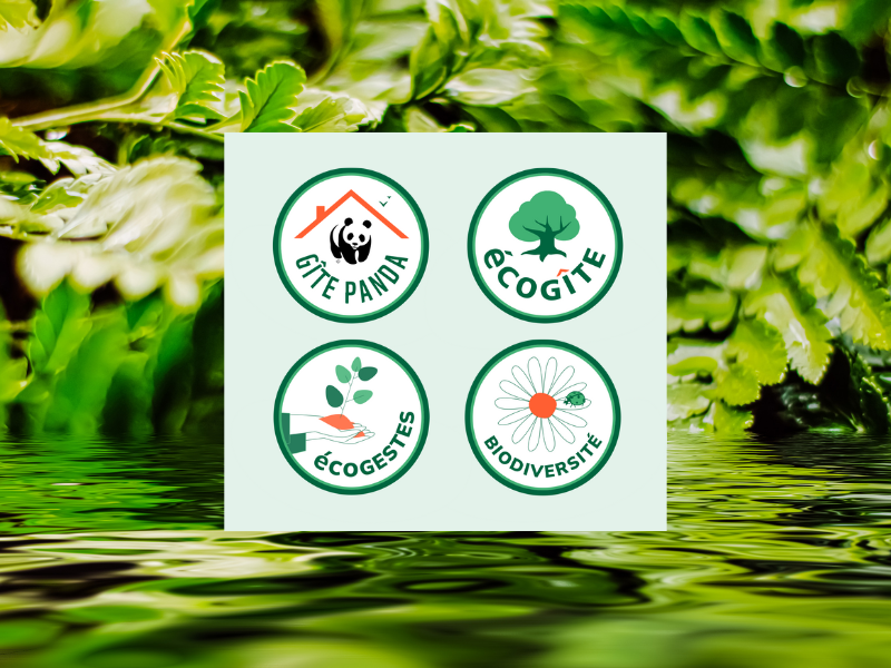 S’engager pour un tourisme plus responsable : écogestes, écogîte, biodiversité et panda